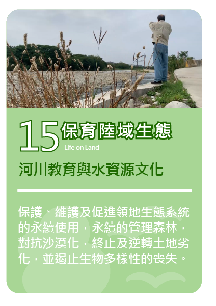 畢業專題影片
